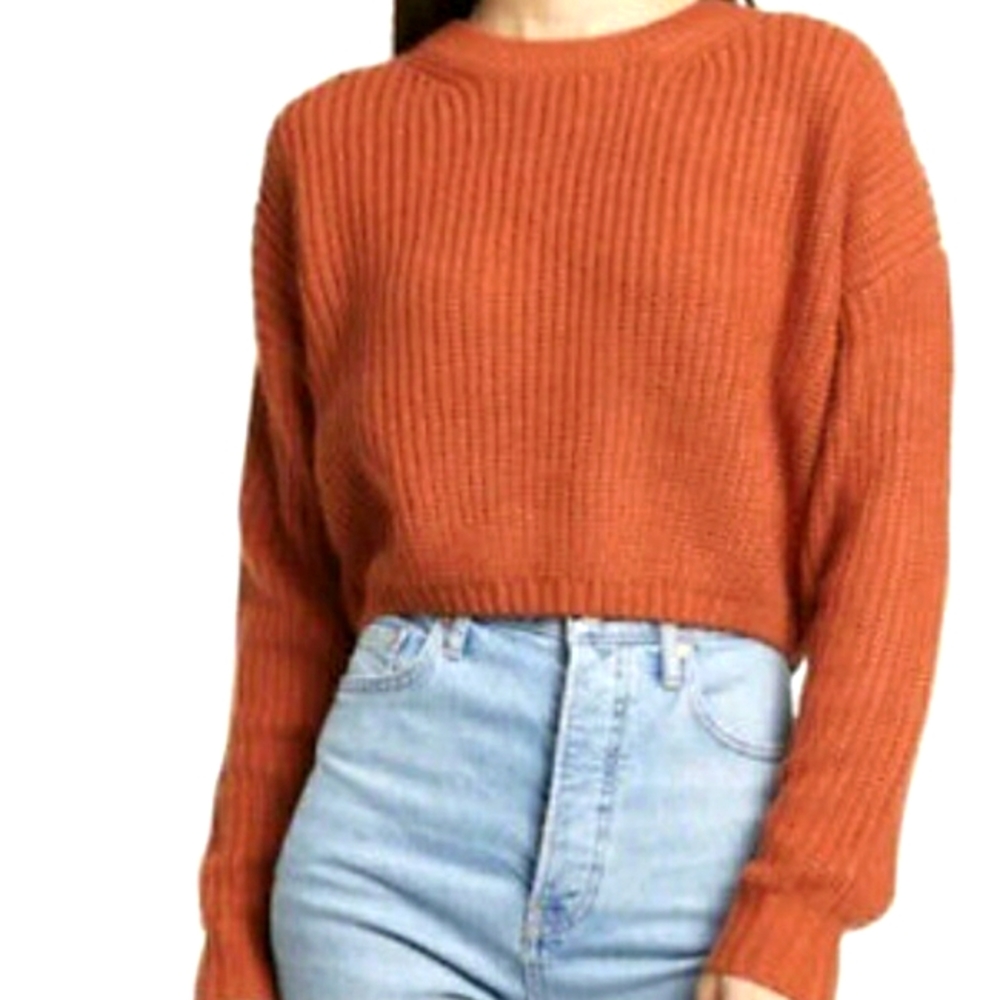 NWOT Crop Crew Neck Sweater in Rust by Elodie XL